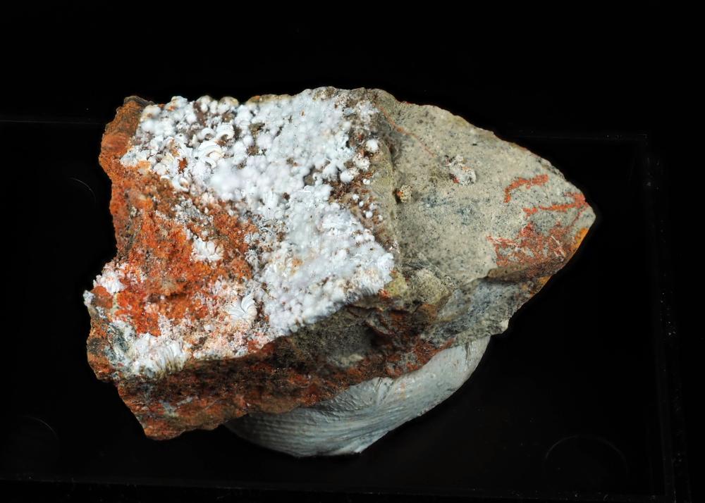 Picropharmacolite